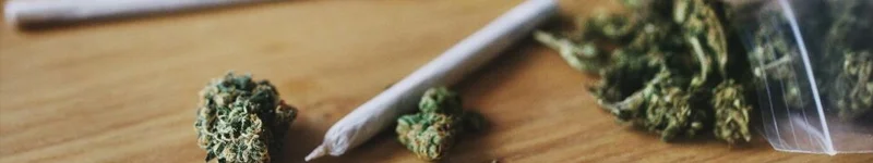 Cannabis Treatment